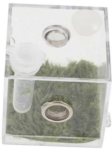 YARNOW Insektenbox Aus Transparente Spinnengehegebox Kleine Futterkasten Für Reptilien Terrariumzubehör Insektenbehälter Für Springspinnen Geckos Und Grillen