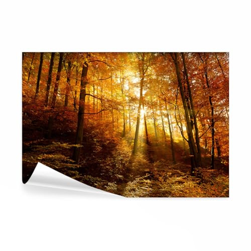decomonkey Photo Wallpaper Forest Landscape Sun Nature Trees 350 x 256 cm | Non-Woven, Wall Mural, Wall Art, Modern Design, Home Decoration, Bedroom, Living Room, Wood Autumn, Yellow Orange, Print