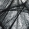 Halloween Spinnennetz_ Deko Set, Riesiges Gefälschtes Spinnennetz_ mit extra 2 Gefälschten Spinnen_ Halloween Dekorationen für Drinnen und Draußen, Wand Fenster Kamin Abdeckung Deko (Black, One Size)