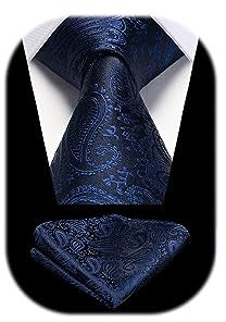 HISDERN Marineblau Krawatte Hochzeit Aqua Paisley Krawatten Taschentuch Blumen Elegant Klassisch Krawatte & Einstecktuch Set
