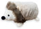 MIJOMA Türstopper Türpuffer Türsack aus Stoff Plüsch, 1kg schwer gefüllt, Lustiges Hingucker-Design für eine stilvolle Dekoration (Igel liegend - beige)