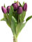 Botanic-Haus künstliches Tulpenbündel/künstlicher Tulpenbund Sandy mit 4 Tulpen und 3 Tulpenknospen Farbe: aubergine real Touch