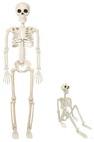 Halloween Deko Skelett Outdoor Innen Dekoration Gruselig Party Horror Set Decoration Decor Türdeko Halloweendeko Scary Gartendeko Figur Außen Schädel Knochen Gruselig Klein Bewegliche Ganzkörper