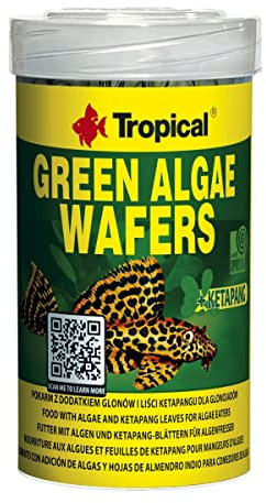Tropical Green Algae Wafers - 100 ml