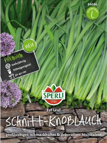 Schnitt-Knoblauch Fat Leaf