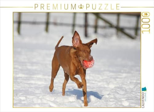CALVENDO Puzzle EIN Motiv aus dem Kalender Magyar Vizsla | 1000 Teile Lege-Größe 64 x 48 cm Foto-Puzzle für glückliche Stunden