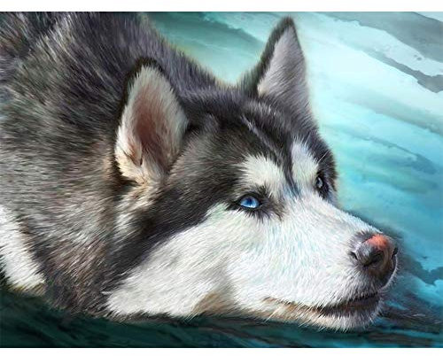 Ideen mit Herz 5D Diamond Painting | Diamant Painting Set | 30 x 40 cm | Motivleinwand | runde Steinchen | inkl. Zubehör | verschiedene Bilder zur Auswahl (Husky)
