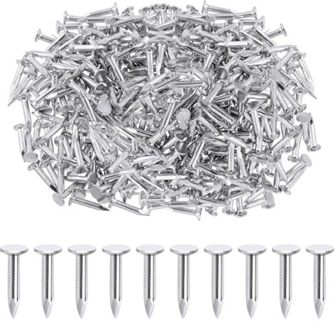 Rustark 300Pcs 1 Inch 25mm Galvanized Roofing Felt Nails Asphalt Nails Slating Nails Cement Siding Nails for Roof Repair, Asphalt Tile, Landscaping