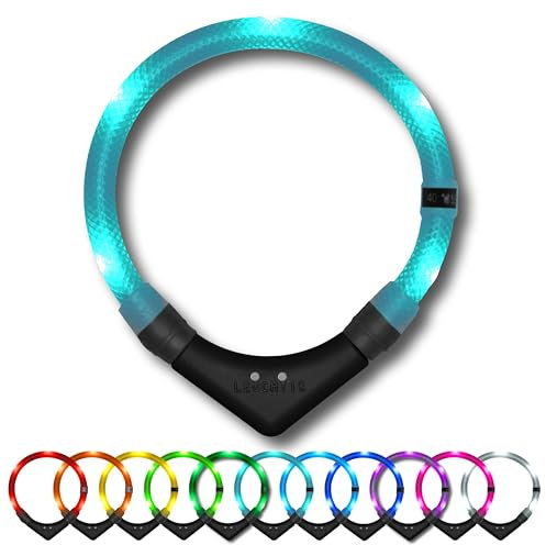 LEUCHTIE® Leuchthalsband Easy Charge für Hunde, USB aufladbar, wasserdichtes LED Halsband, extrem hell, 25h Leuchtdauer, kleine mittlere und große Hunde türkis Größe 45