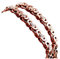 KnSam Edelstahl Byzantine Königskette 55 cm, Männer Kette Rose Gold Herren Edelstahl Halskette Breit 8MM Hip Hop Metallkette Hals