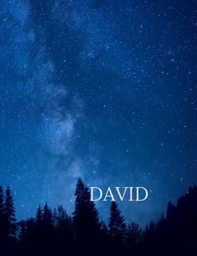 DAVID: Notebook