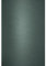 Netuno 25x Tonkarton Königs-Grün DIN A4 210× 297 mm 210g Sirio Color Royal Green Bastelkarton A4 Ton-Zeichen-Karton zum basteln Bedrucken Kreativkarton A4 farbig für Weihnachts-Karten Hochzeitskarten
