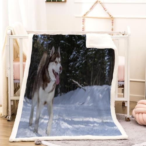 Heiser Kuscheldecke 150x200 Hund Tier Warmer Winter Weich Flauschige Decke Sherpa Wohndecke Geschenke Blanket für Erwachsene Mikrofaser Sofadecke Couchdecke Tagesdecke