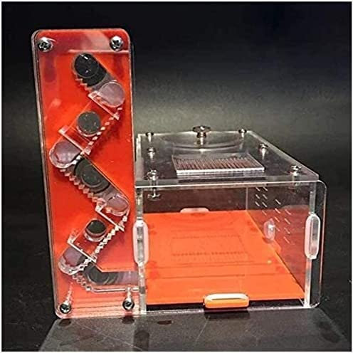 BGFYUSF Ameisenfarm, DIY-Acryl mit 5 Gipsröhrchen, Fütterungsbereich, Ameisenwerkstatt, Ameisennest, Insektengips, Reagenzglasnest, Haustier-Ameisenhaufen (A)