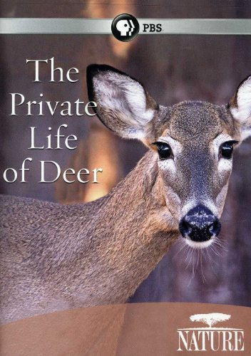 Nature: Private Life of Deer