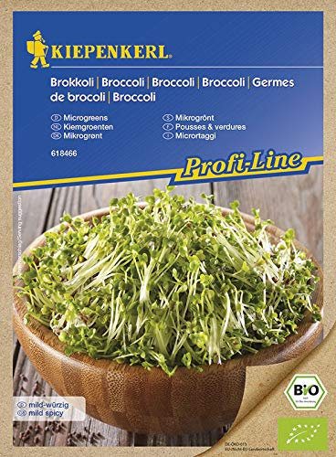 Kiepenkerl Keimsprossen Brokkoli (Bio-Saatgut)