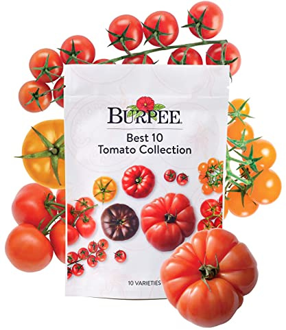Burpee Best 10 Non-GMO Planting Tomato Seeds for Garden Gifts (1 Pack)