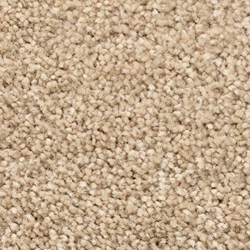 Auslegware Teppichboden für Kinderzimmer und Schlafzimmer in Beige sehr weich Kräuselvelours Teppich Meterware in 400 cm und 500 cm Breite (4 m x 2 m)