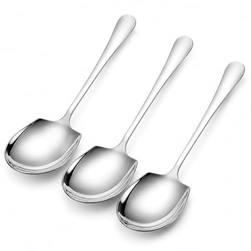 TRACOMPAN 3 Pack Large Serving Spoons, Stainless Steel Serving Spoon with Long Handle for Buffet Kitchen Parties Dining