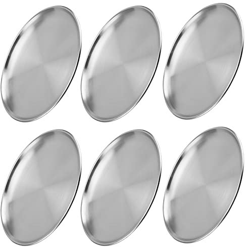 NINGWAAN Paquete de 6 platos de cena de acero inoxidable de 12 pulgadas, platos de metal redondos de doble capa, platos de metal cepillado plateado para picnic, camping, cena, fiesta (tamaño / modelo)
