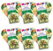 Hipp Biologique Fondue de Pommes de terre Légumes verts Saumon - 6 assiettes de 230g