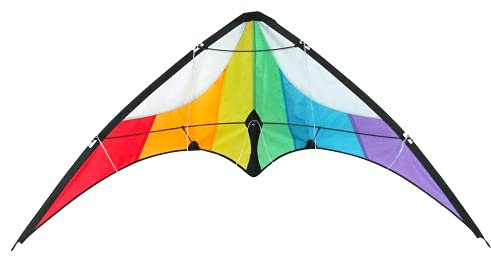 Lenkdrachen Fledermaus 100 cm