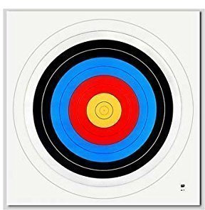 Pack of 10 Archery Target Faces - 60cm