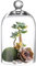 KMwares Klarglas-Display-Kuppel, für Glocken, Tischdekoration, für Pflanzen/Lebensmittel, 13 x 22,6 cm