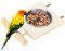NCONCO Bird Feeding Dish Cups Stainless Steel Parrot Feeder Bowl with Stand for Bird Parrot