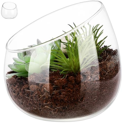 UTHCLO Terrarium Vaso Rotondo Elegante Bocca Inclinata in Vetro Trasparente per Piante Grasse e Muschio, per Decorare Spazi Interni Stile Naturale