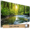 TRIOSK Große Motivplane Sichtschutz Zaunblende mit Motiv Waldfluss Wald Sonnenlicht Motivbanner Garten Deko Plane Blickdicht für Zaun Terrasse Gartenzaun Zaunplane PVC 340x173 cm
