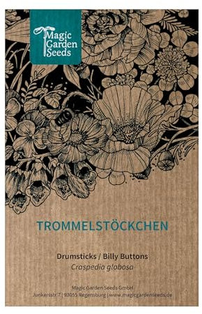 Trommelstöckchen (Craspedia globosa) - ca. 80 Samen der besonderen Schnittblume, Trockenblume aus Australien