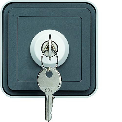 Interruptor con llave, 2 posiciones, superfície, gris