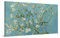 PICANOVA – Vincent Van Gogh Almond Blossom 100x50 cm – Bild auf Leinwand – Leinwandbild – Premium Leinwanddruck – Kunstdruck Auf 2cm Holz-Keilrahmen Für Schlaf- Und Wohnzimmer