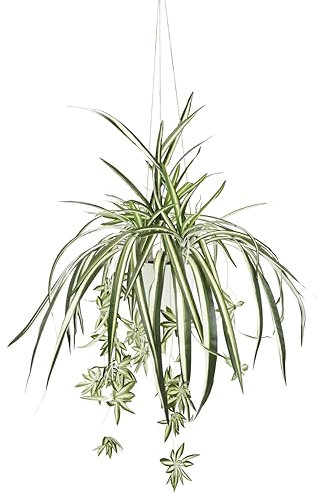 Pianta artificiale con fioriera sospesa, pianta di seta, pianta verde clorophytum, pianta da interno, pianta di ragno, fiore artificiale, pianta di serpente, giglio d'acqua, pianta sospesa, pianta in