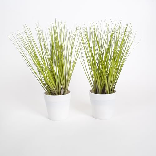 Wackadoo Kunstpflanze 27 cm Gras im Topf 2er Set Deko Dekogras Dekoration, ideal für Badezimmer, Wohnzimmer oder Terrasse