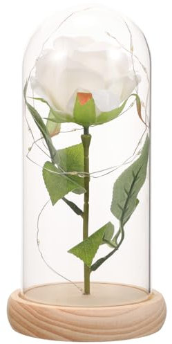 in Glass Dome with Lights, Rose Artificial Flowers, for Valentines Day Mothers Day Anniversary Wedding , White