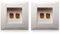 Potadak 2X Wanddose Wand Anschluss Anschlussdose Port mit 2 Buchse fuer Bananenstecker Lautsprecher-