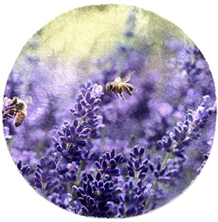 Tappeto circolare Shaggy circolare con motivo malva viola e viola con fiori di lavanda