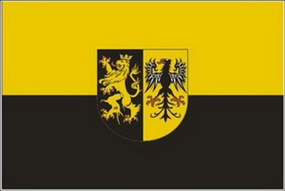 Flagge Fahne Vogtland 90x150cm