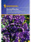 Limonium sinuatum Statice Strandflieder blau