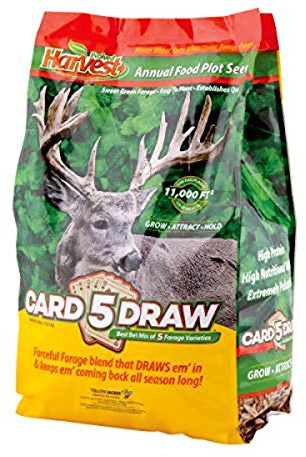 Evolved Harvest 5 Card Draw Food Plot Seed - All Season Long High-Protein & Minerals Forage for Deer, Green