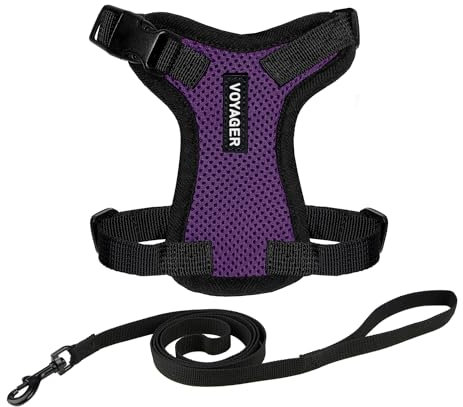 Voyager Step-in Lock Katzengeschirr und reflektierende Katzenleine mit Neoprengriff by Best Pet Supplies - Unterstützt kleine, mittelgroße und große Katzenrassen, Violett / Schwarz, size XXXS - 1,5 m