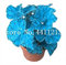 50 Pz Rare Exotic Begonia a Colori, Begonia Indoor fioritura Piante in Vaso per la casa Giardino Balcone Coleus: 1
