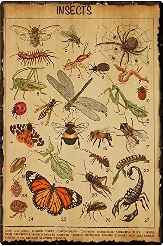 Oudrspo Vintage Starotore Insekten Insekten Enzyklopädie Bauernhof Kinder Lernen Poster Metall Aluminium Blechschild 20,3 x 30,5 cm Wanddekoration