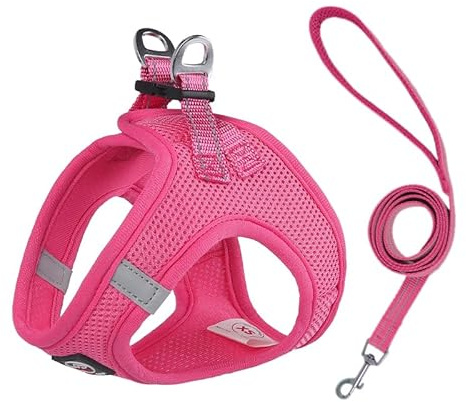 Lalazoo Miami Hundegeschirr Step-in – No-Pull leicht & atmungsaktiv gepolstert & reflektierend verstellbar mit Doppel-D-Ring & Sicherheitsverschluss für kleine Hunde Welpen inkl. Leine – Rosa, XXS