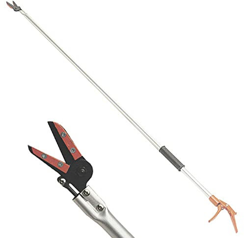 Papillon 8060065 - Cesoia Raccoglifrutta Con Manico In Alluminio Girevole