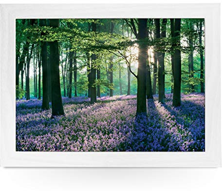 yoosh Portable Lap Desk Tray (Violet Fields In Woods) Handmade Wooden Frame, Beanbag Cushioned Bottom | Computers, Laptops, Meals, Food | L0069 White