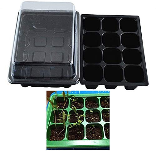 Mini Serra per germinazione - 12 vasetti - seminare Piccole piantine - Idea Regalo Natale e Compleanno