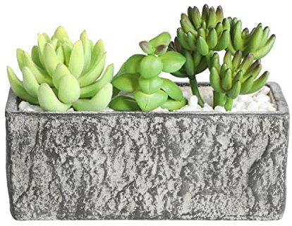 EGLO LIVING Kunstpflanze Chitose, 3 künstliche Zimmerpflanzen im Topf, naturgetreue Deko Pflanze für Wohnzimmer, Sukkulente aus Kunststoff in Grün und Paper Pulp in Grau, 14 cm